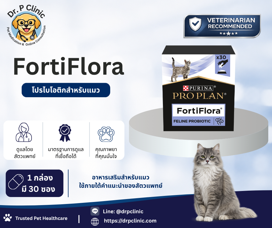 FortiFlora ผลิตภัณฑ์เสริมโปรไบโอติกสำหรับแมว ช่วยปรับสมดุลจุลินทรีย์ในลำไส้และส่งเสริมสุขภาพทางเดินอาหาร