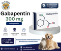 Gabapentin 300 mg ยาลดปปวดปลายประสาทสำหรับสุนัขและแมว
