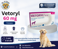 Vetoryl 60 mg ยาสำหรับสุนัขที่ใช้ควบคุมภาวะ Cushing's disease ช่วยลดการสร้างฮอร์โมนคอร์ติซอลที่มากเกินไป