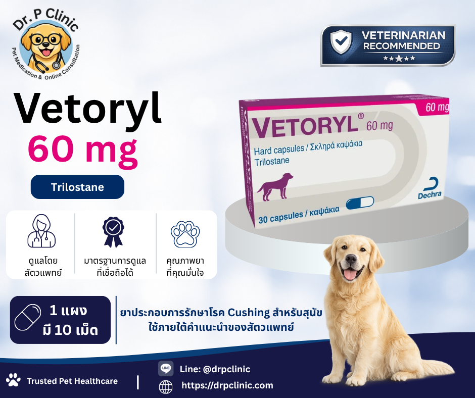 Vetoryl 60 mg ยาสำหรับสุนัขที่ใช้ควบคุมภาวะ Cushing's disease ช่วยลดการสร้างฮอร์โมนคอร์ติซอลที่มากเกินไป