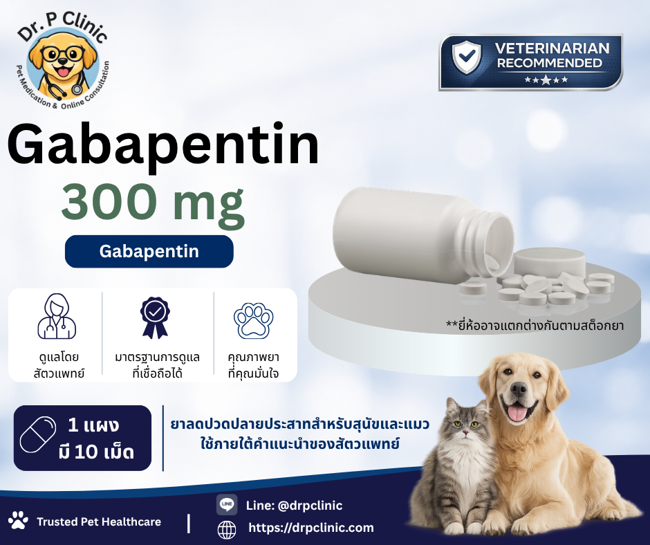 Gabapentin 300 mg ยาลดปวดปลายประสาทสำหรับสุนัขและแมว (1 แผงมี 10 เม็ด)