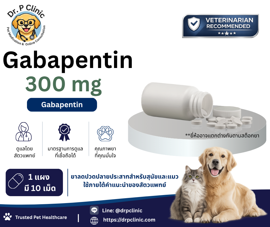 Gabapentin 300 mg ยาลดปวดปลายประสาทสำหรับสุนัขและแมว (1 แผงมี 10 เม็ด)