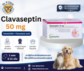 Clavaseptin 50 mg ควบคุมการติดเชื้อแบคทีเรียในสุนัขและแมว (1 แผงมี 10 เม็ด)