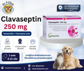 Clavaseptin 250 mg ควบคุมการติดเชื้อแบคทีเรียในสุนัขและแมว (1 แผงมี 10 เม็ด)