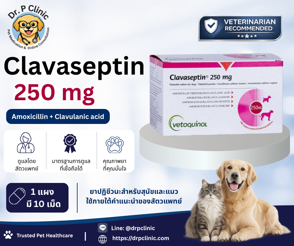 Clavaseptin 250 mg ควบคุมการติดเชื้อแบคทีเรียในสุนัขและแมว (1 แผงมี 10 เม็ด)