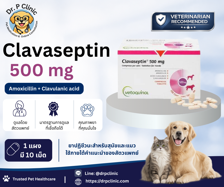 Clavaseptin 500 mg ควบคุมการติดเชื้อแบคทีเรียในสุนัขและแมว (1 แผงมี 10 เม็ด)