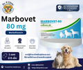 Marbovet 80 mg ควบคุมการติดเชื้อแบคทีเรียในสุนัขและแมว (1 แผงมี 8 เม็ด)