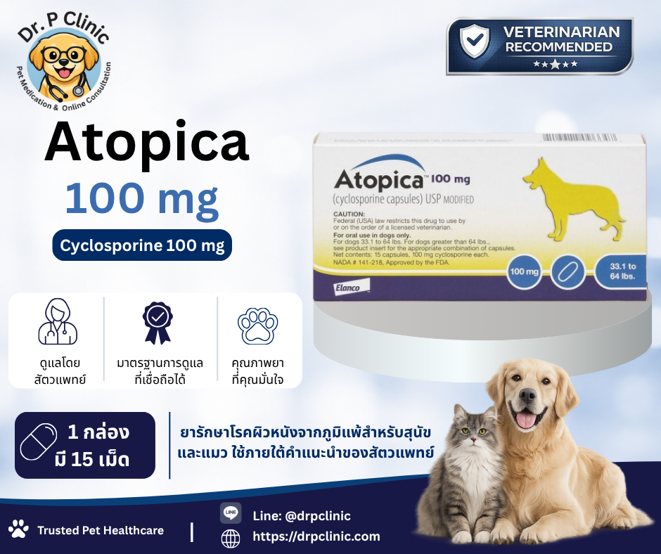 Atopica 100 mg (Cyclosporine 100 mg) ยาสำหรับสุนัขและแมวที่มีภาวะผิวหนังอักเสบจากภูมิแพ้
