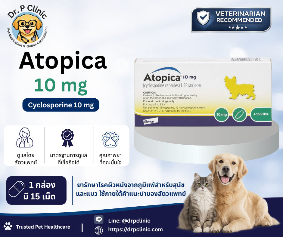 Atopica 10 mg (Cyclosporine 10 mg) ยาสำหรับสุนัขและแมวที่มีภาวะผิวหนังอักเสบจากภูมิแพ้