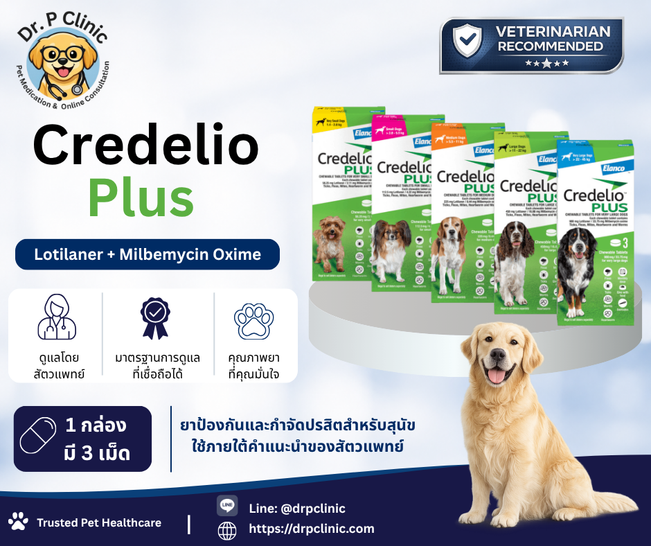 Credelio Plus ยาป้องกันเห็บหมัดชนิดเม็ดเคี้ยวสำหรับสุนัข (1 กล่อง มี 3 เม็ด)
