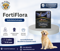 FortiFlora ผลิตภัณฑ์เสริมโปรไบโอติกสำหรับสุนัข ช่วยปรับสมดุลจุลินทรีย์ในลำไส้และส่งเสริมสุขภาพทางเดินอาหาร