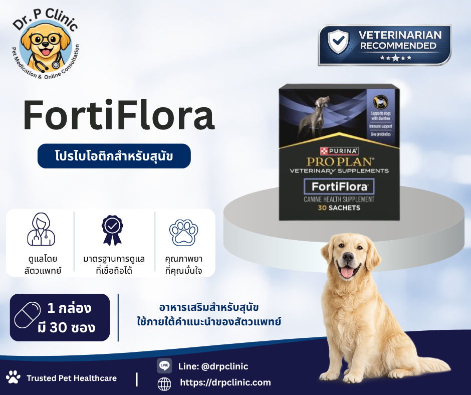 FortiFlora ผลิตภัณฑ์เสริมโปรไบโอติกสำหรับสุนัข ช่วยปรับสมดุลจุลินทรีย์ในลำไส้และส่งเสริมสุขภาพทางเดินอาหาร