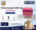 Itraconazole ยารักษาเชื้อราสำหรับสุนัขและแมว