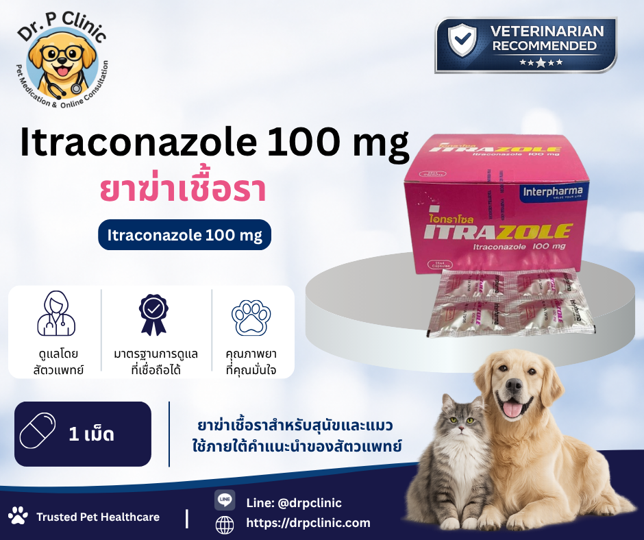 Itraconazole ยารักษาเชื้อราสำหรับสุนัขและแมว