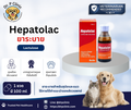 Lactulose (Hepatolac)  ยาระบายสำหรับสุนัขและแมว ช่วยบรรเทาอาการท้องผูก