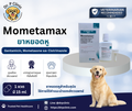 Mometamax  ยาหยอดหูรักษาหูอักเสบในสุนัข