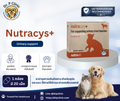 Nutracys+ ผลิตภัณฑ์เสริมอาหารบำรุงระบบทางเดินปัสสาวะและกระเพาะปัสสาวะสำหรับสุนัขและแมว