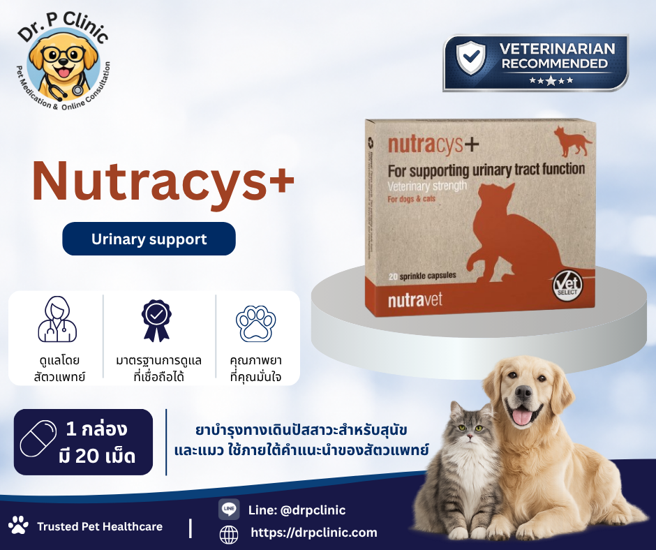 Nutracys+ ผลิตภัณฑ์เสริมอาหารบำรุงระบบทางเดินปัสสาวะและกระเพาะปัสสาวะสำหรับสุนัขและแมว