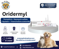 Oridermyl ยาหยอดหูสำหรับสุนัขและแมว