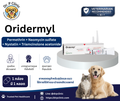 Oridermyl ยาหยอดหูสำหรับสุนัขและแมว