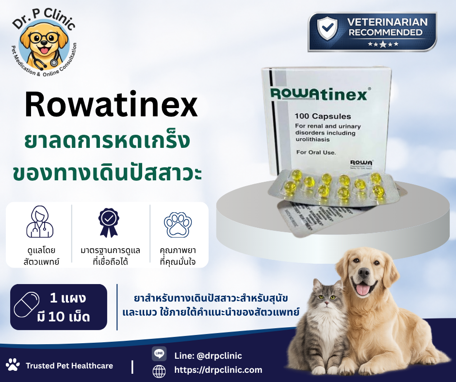 Rowatinex ยาลดการบีบเกร็งทางเดินปัสสาวะสำหรับสุนัขและแมว