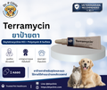Terramycin ointment ยาป้ายตาสำหรับสุนัขและแมว