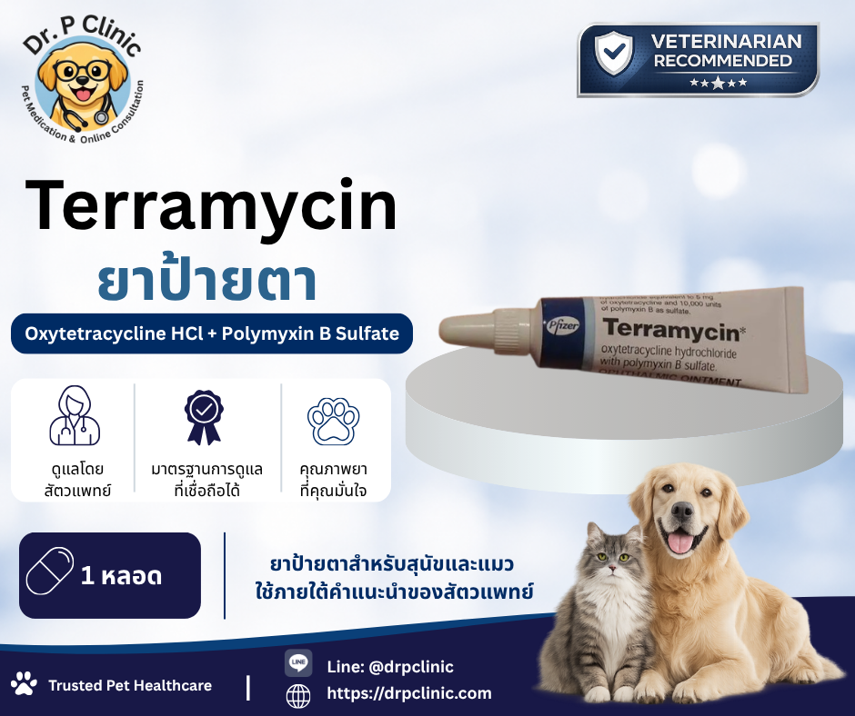 Terramycin ointment ยาป้ายตาสำหรับสุนัขและแมว