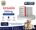 Ursolin 250 mg ยาช่วยการไหลเวียนของทางเดินน้ำดีในสุนัขและแมว