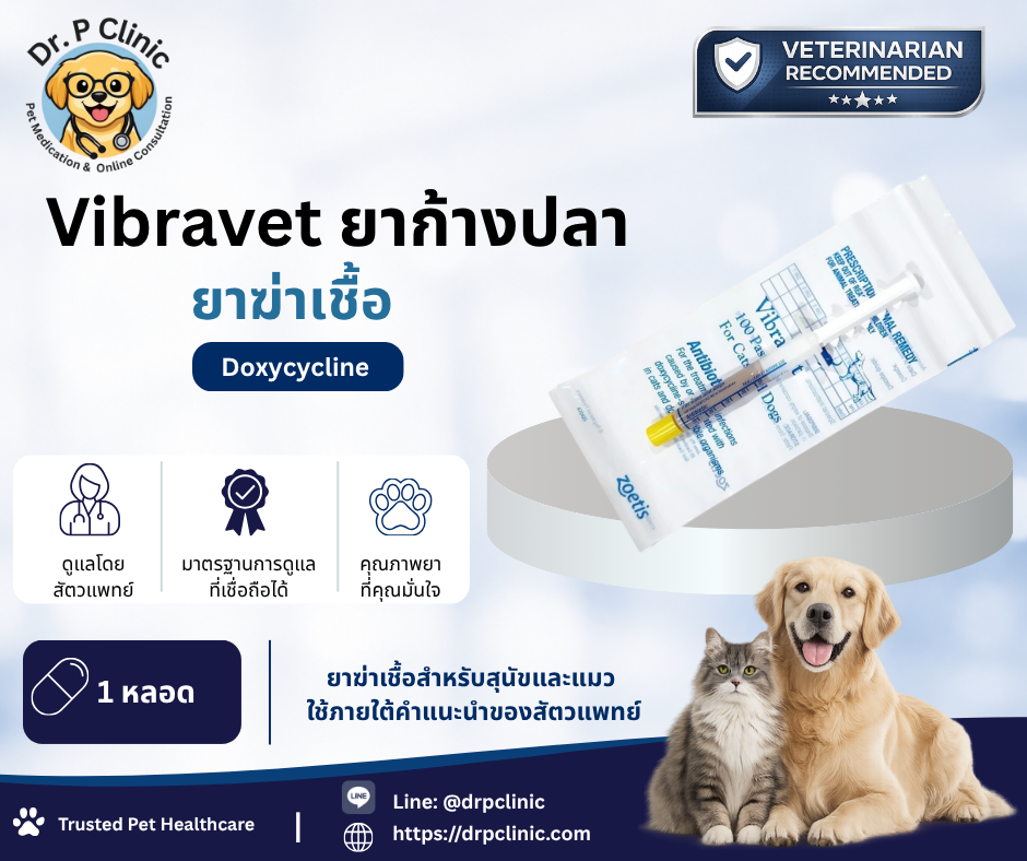 Vibravet (Doxycycline) ยาก้างปลา คุมการติดเชื้อ สำหรับสุนัขและแมว