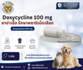 Doxycycline 100 mg ยาฆ่าเชื้อ รักษาพยาธิเม็ดเลือดในสุนัขและแมว