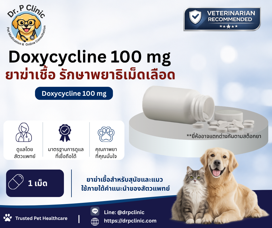 Doxycycline 100 mg ยาฆ่าเชื้อ รักษาพยาธิเม็ดเลือดในสุนัขและแมว
