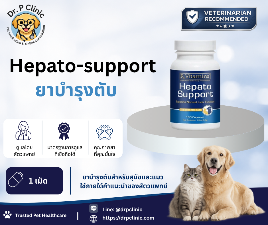 Hepato support ยาบำรุงตับสำหรับสุนัขและแมว