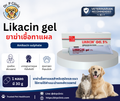 Likacin gel เจลทาแผลสำหรับสุนัขและแมว ช่วยดูแลแผลและผิวหนังบริเวณที่ได้รับบาดเจ็บ