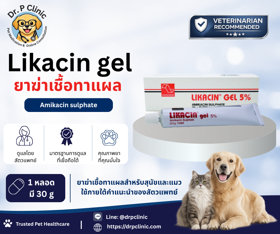 Likacin gel เจลทาแผลสำหรับสุนัขและแมว ช่วยดูแลแผลและผิวหนังบริเวณที่ได้รับบาดเจ็บ