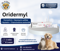 Oridermyl ยาหยอดหูสำหรับสุนัขและแมว