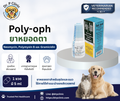 Poly-Oph eye drop ยาหยอดตาปฏิชีวนะสำหรับสุนัขและแมว