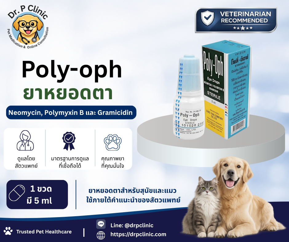Poly-Oph eye drop ยาหยอดตาปฏิชีวนะสำหรับสุนัขและแมว