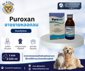 Puroxan syrup 100 ml (Doxofylline) ยาขยายหลอดลมชนิดน้ำสำหรับสุนัขและแมว