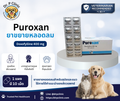 Puroxan (Doxofylline 400 mg) ยาขยายหลอดลมสำหรับสุนัขและแมว